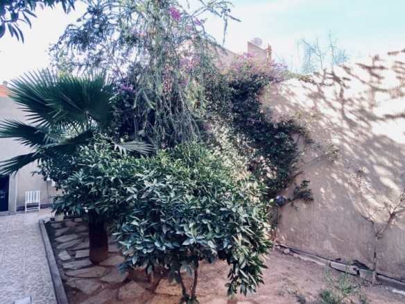 immobilier marrakech
