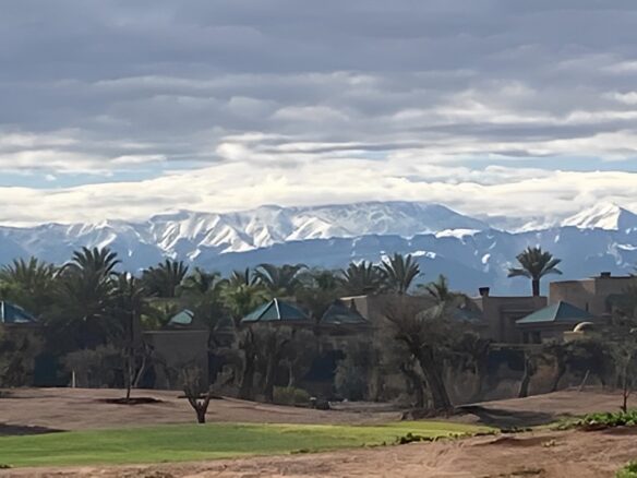 TERRAIN